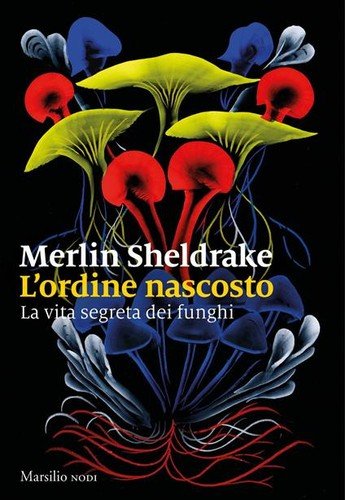 L'ordine nascosto: La vita segreta dei funghi