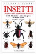 Insetti ragni e altri artropodi terrestri