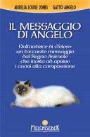 Il messaggio di Angelo